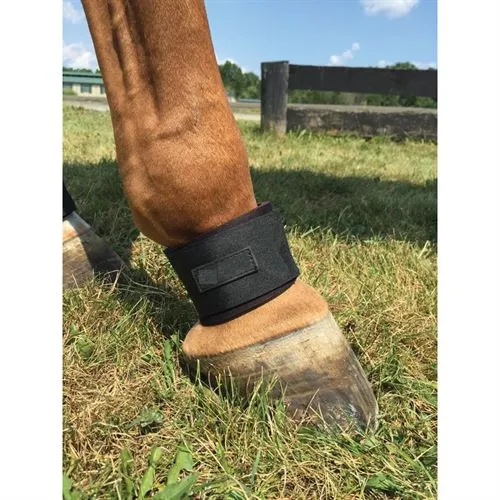 Pastern Wrap