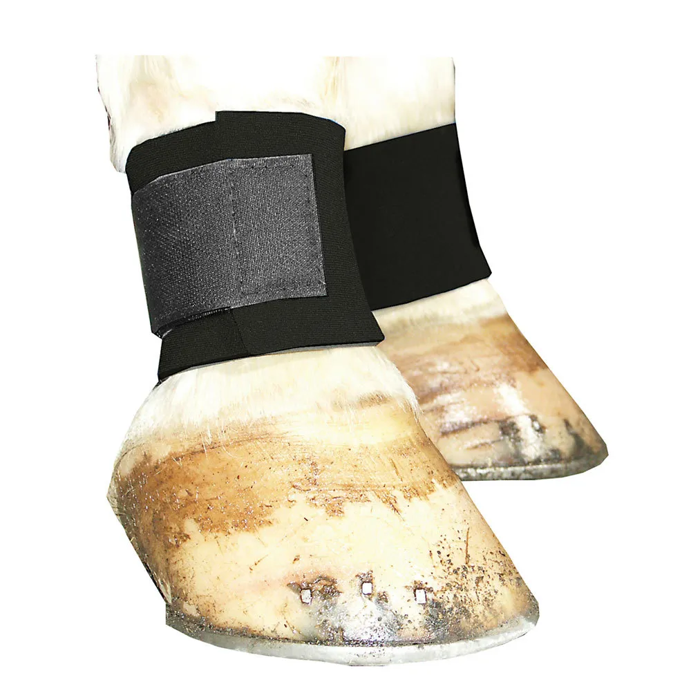 Pastern Wrap